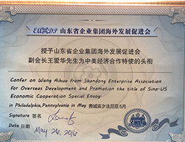 授予王愛華先生為中美經濟合作持續特使的頭銜