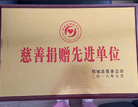 慈善捐贈先進單位 鄆城縣慈善總會